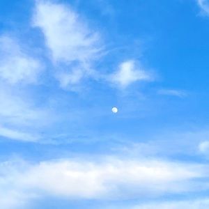 Meet your Posher, Aggie